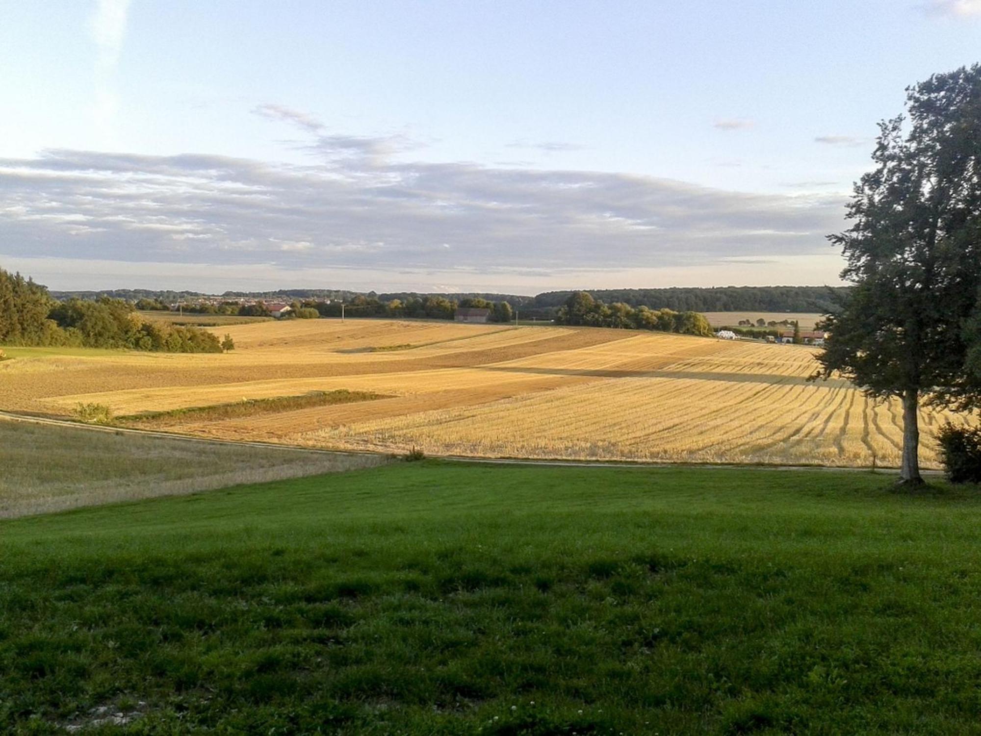 Hof Am Horn - Fewos In Der Natur Laichingen Zewnętrze zdjęcie