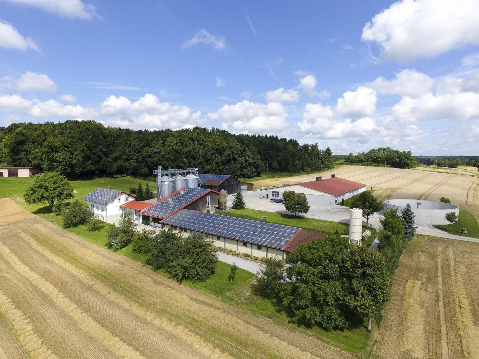 Hof Am Horn - Fewos In Der Natur Laichingen Zewnętrze zdjęcie