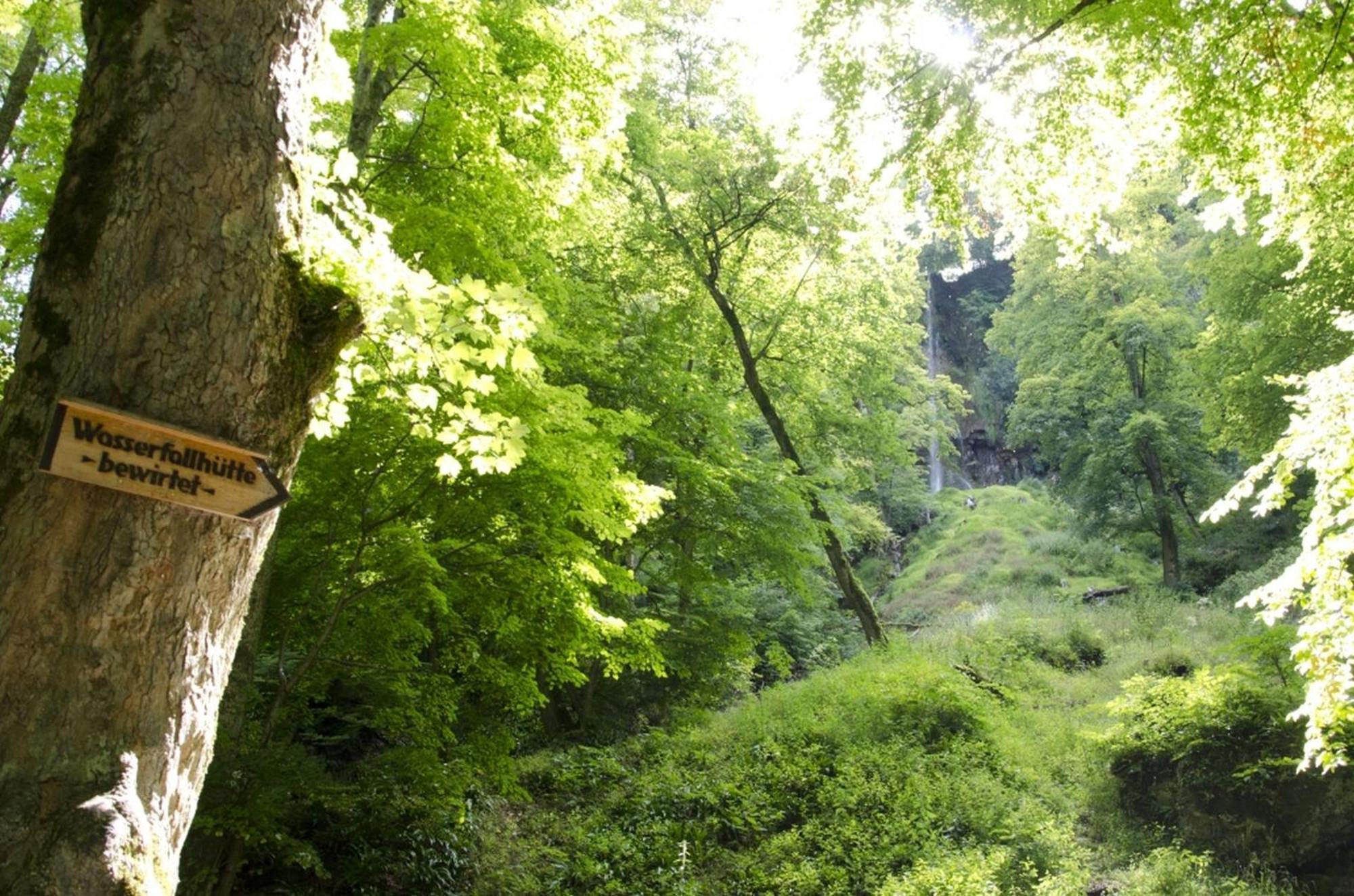 Hof Am Horn - Fewos In Der Natur Laichingen Zewnętrze zdjęcie